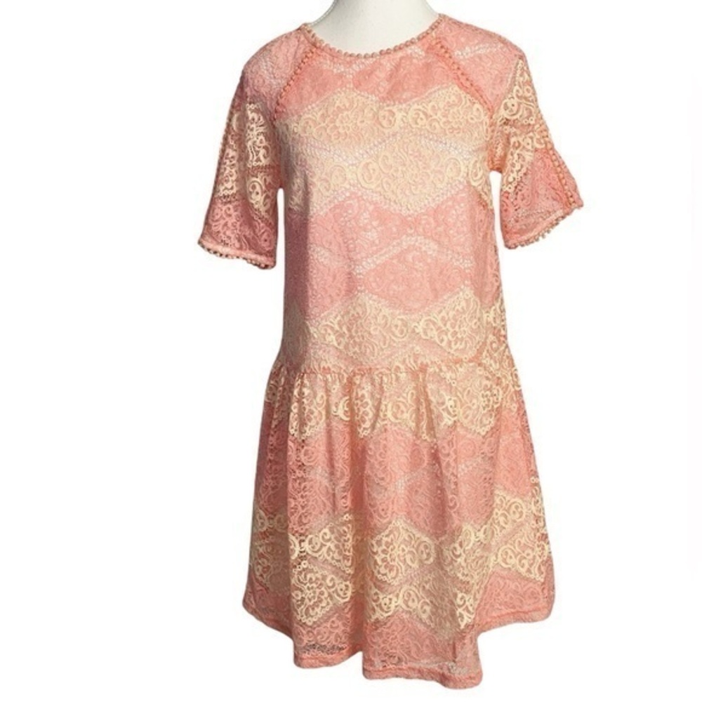 Everly Pink and Cream Lace Mini Dress NWT
